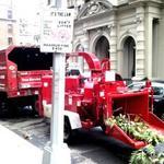nyc tree work
