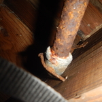 Inspection Pics, Water Heater with Polybutylene
