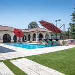Pet Turf