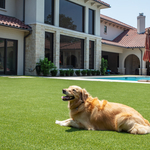 Pet Turf