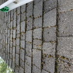 Moss removal
