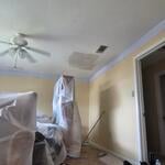 Paint projects