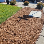 Cleaned and new mulch