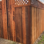 Cedar Fence Installation