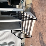 Trex steps