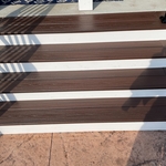 Trex steps