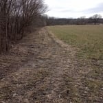 Land Clearing