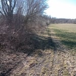 Land Clearing