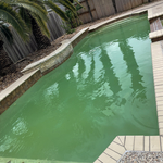 Green pool