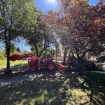 Bush and Shrub Removal