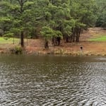 Holloway Pond