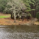 Holloway Pond