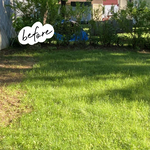 Mowing