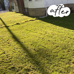 Mowing