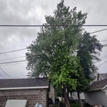 Waukesha