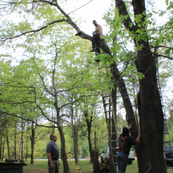 Limb takedown
