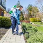 Pest Control Services