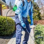 Pest Control Services