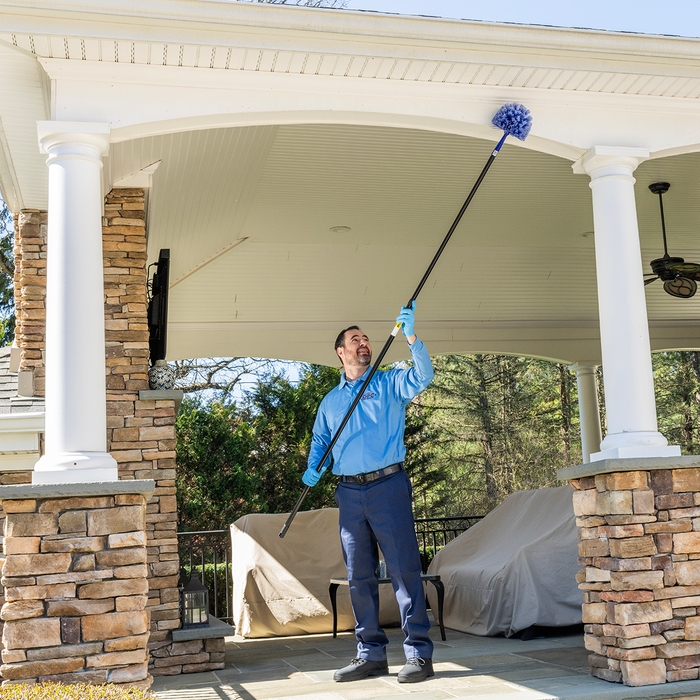 Pest Control Services