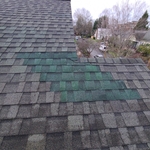 Leak Repairs