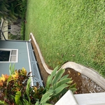 Lawn Care Work