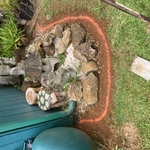 Lawn Care Work