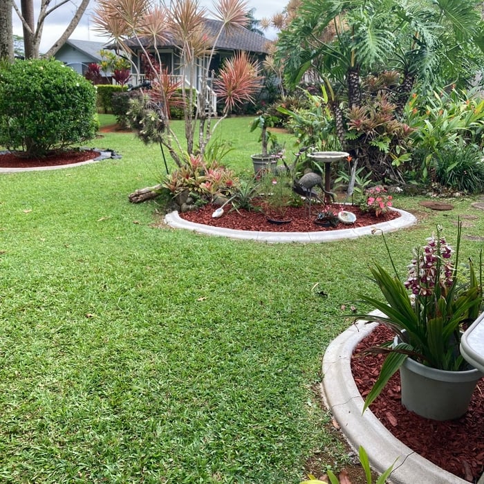 Lawn Care Work