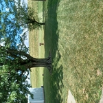 Customers house
