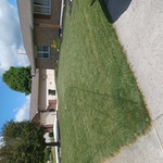 Customers yard