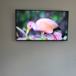55" TV Wall Mount
