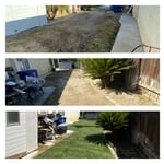 My work