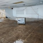 Abatement Oversight