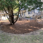 Mulch bed