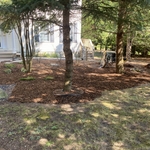 Mulch bed
