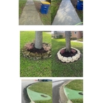 Powerwash Gutter and Tree Ring