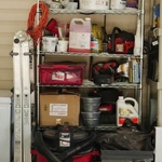 Organization