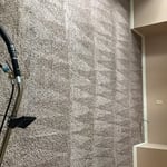 Steam cleaning
