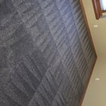 Steam cleaning