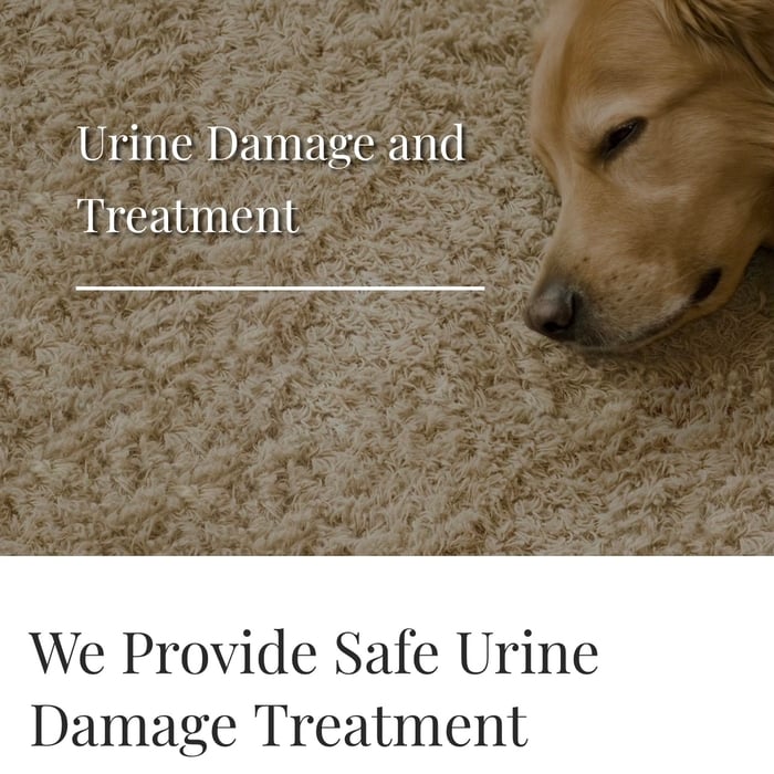 Urine Damage & Treatment