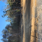 Site work