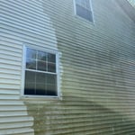 Algae & Mold removal