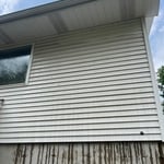 Algae stains removed