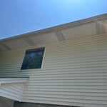 Algae & Stain Removal