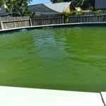 Green Pool