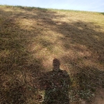 After.