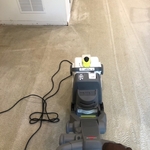 Carpet cleaning after a water damage