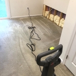 Carpet cleaning