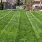 Freedom 35 Lawn Care