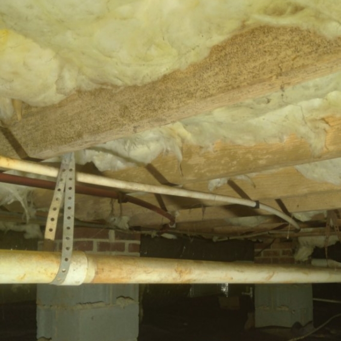 Joists before remediation