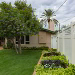 Back Yard Brazilian Pepper Trim and Soil Injection